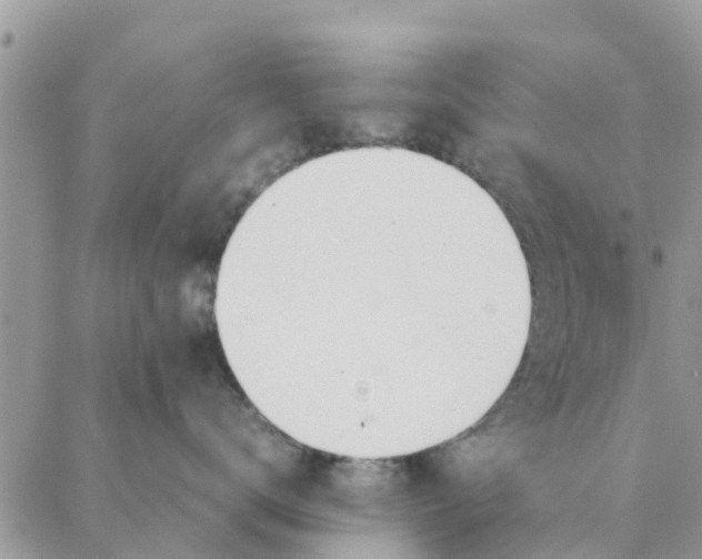 X0000087310672200705041651