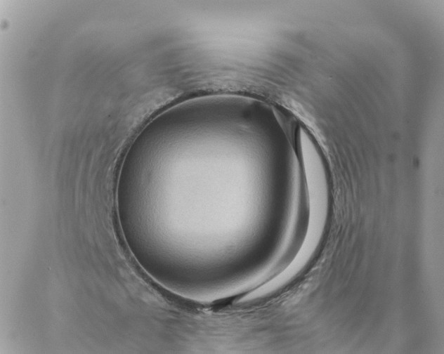 X0000087310673200705041650