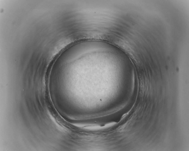 X0000087310674200705041650