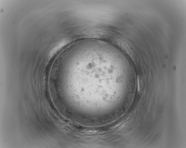 X0000087310675200705041650