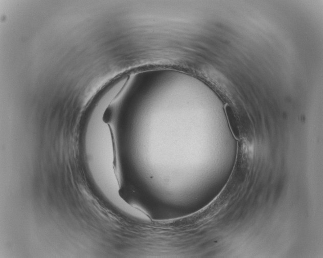 X0000087310676200705041650