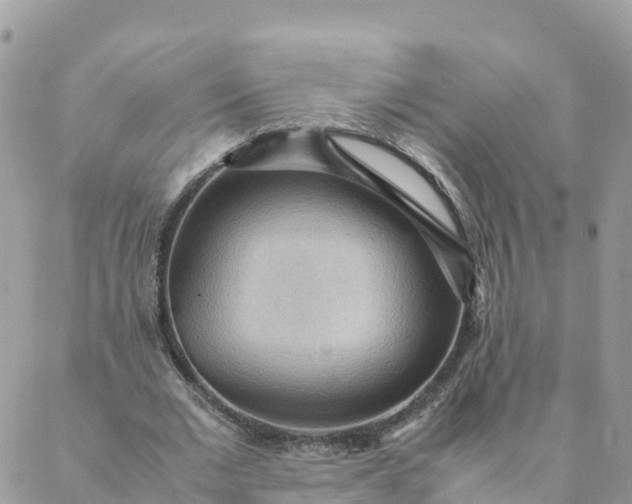 X0000087310677200705041650