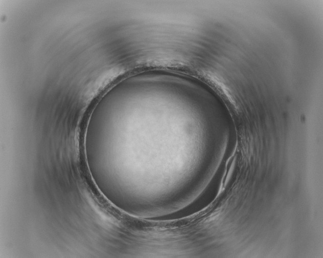 X0000087310678200705041650