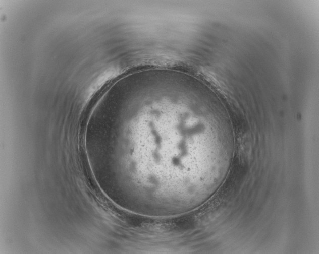 X0000087310679200705041650