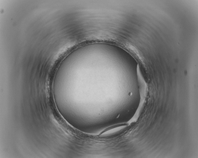 X0000087310680200705041650