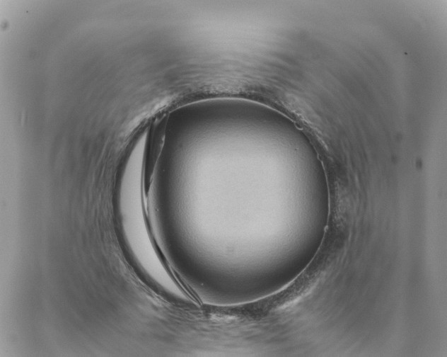 X0000087310681200705041650