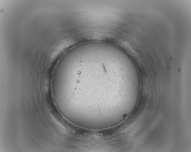 X0000087310683200705041650