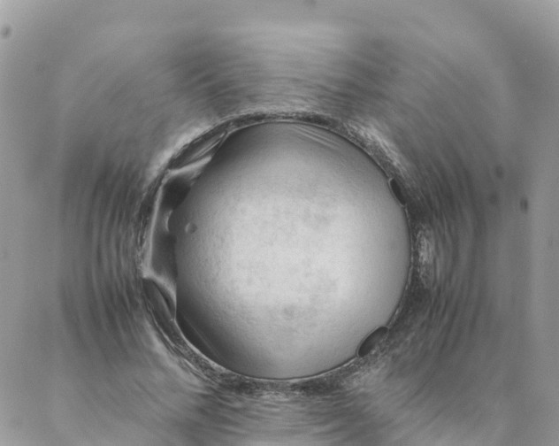 X0000087310684200705041650