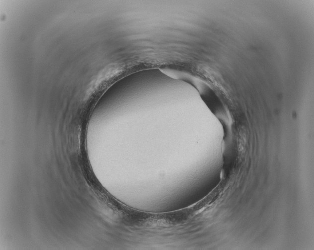 X0000087310685200705041650