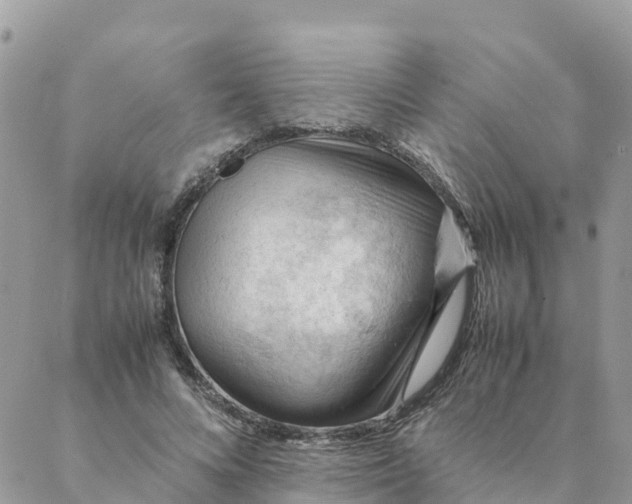 X0000087310688200705041650