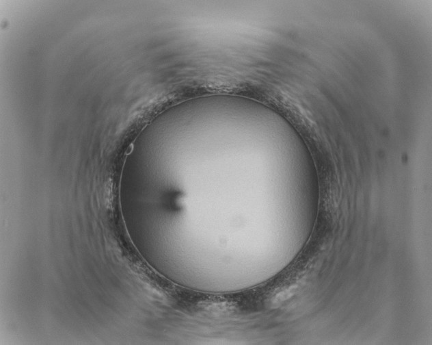 X0000087310689200705041650