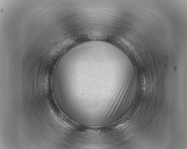 X0000087310690200705041650