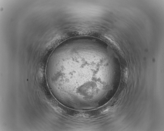 X0000087310691200705041650