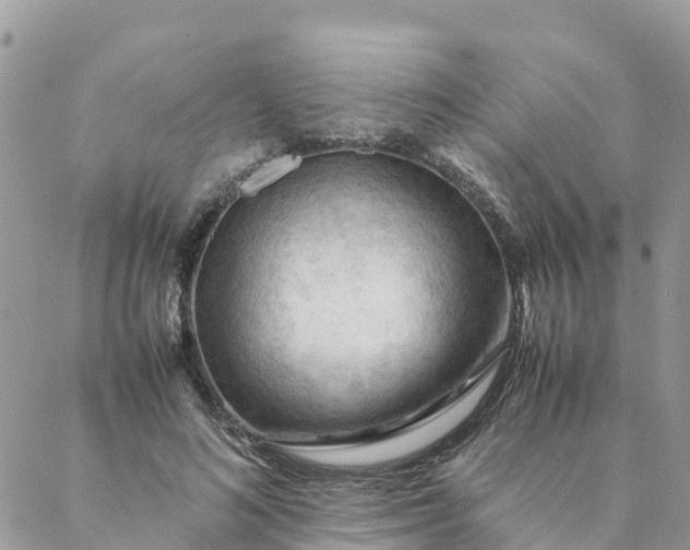 X0000087310692200705041650