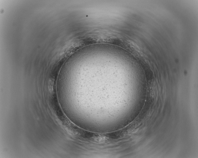 X0000087310695200705041650