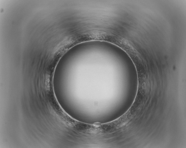 X0000087310696200705041650