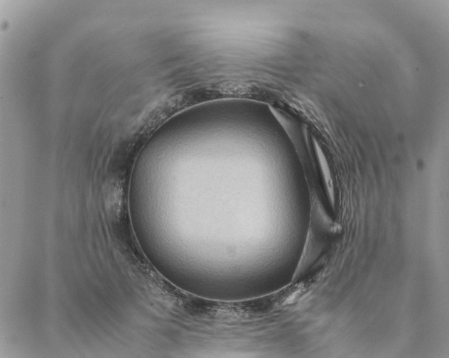 X0000087310697200705041650