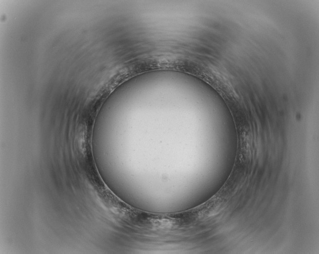 X0000087310698200705041650