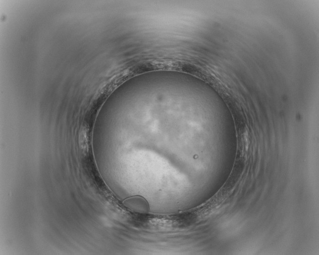 X0000087310699200705041650