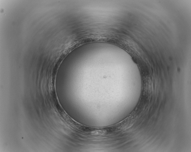 X0000087310700200705041650