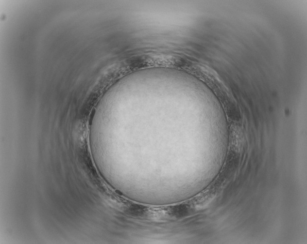 X0000087310701200705041649