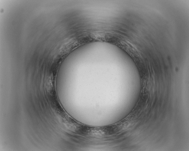 X0000087310702200705041649