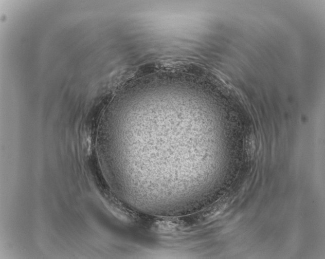 X0000087310703200705041649