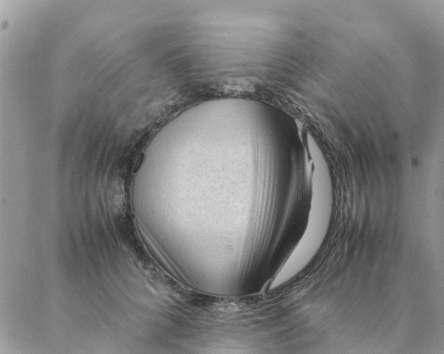 X0000087310704200705041649