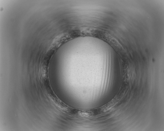 X0000087310706200705041649