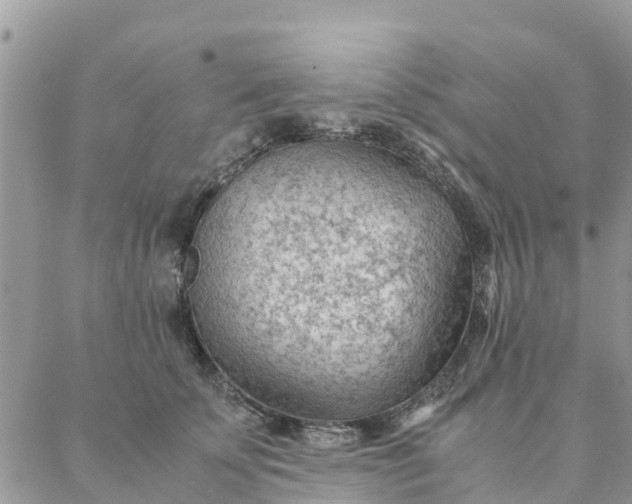 X0000087310707200705041649