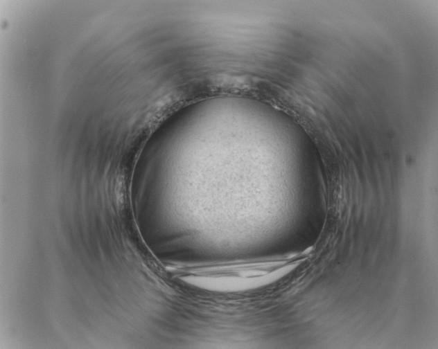 X0000087310708200705041649