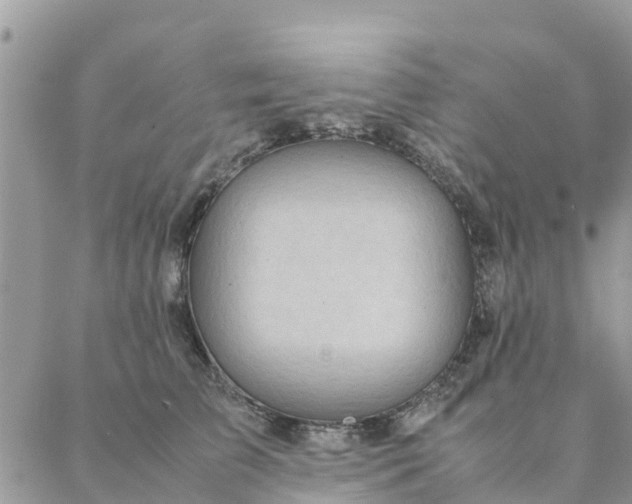 X0000087310709200705041649