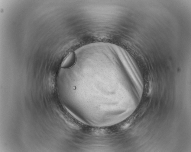 X0000087310710200705041649