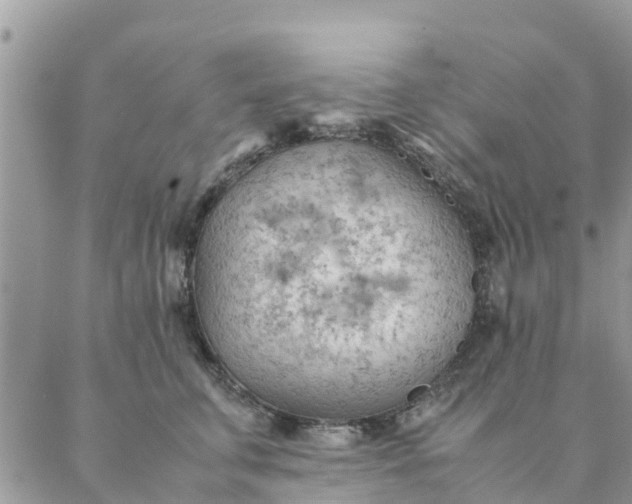 X0000087310711200705041649