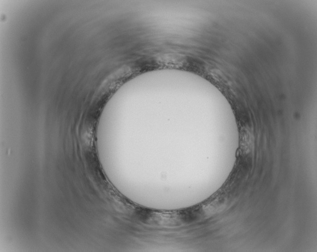 X0000087310713200705041649