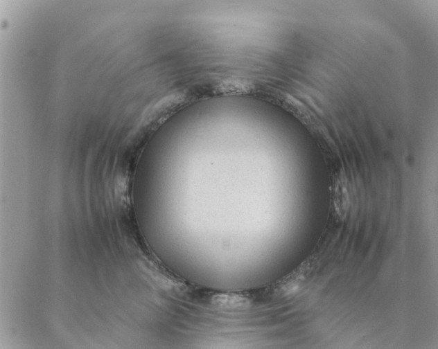 X0000087310714200705041649