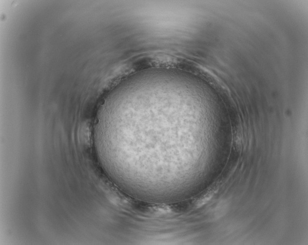 X0000087310715200705041649