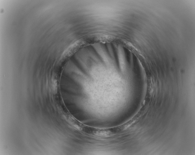 X0000087310716200705041649