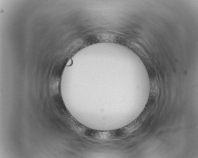 X0000087310717200705041649