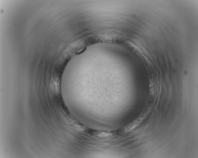 X0000087310718200705041649