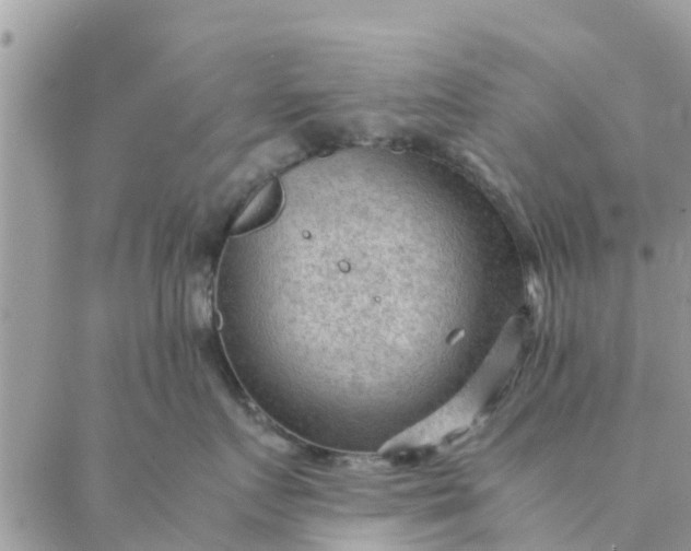 X0000087310719200705041649