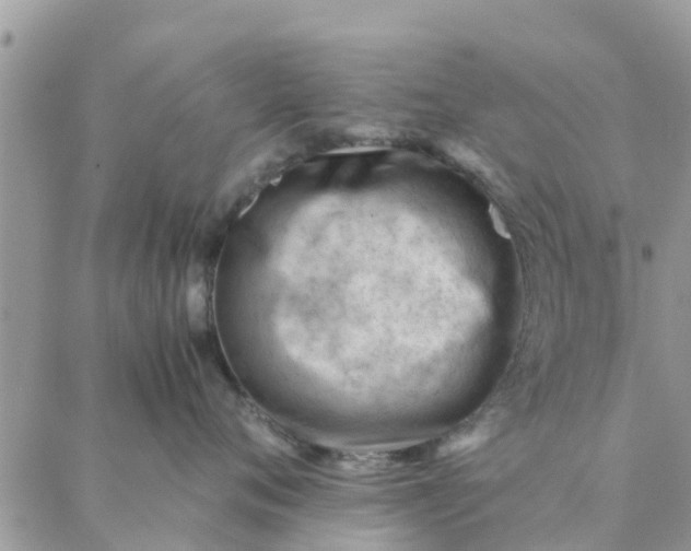 X0000087310720200705041649