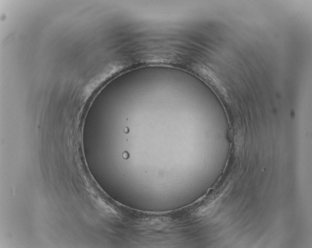 X0000087310721200705041648