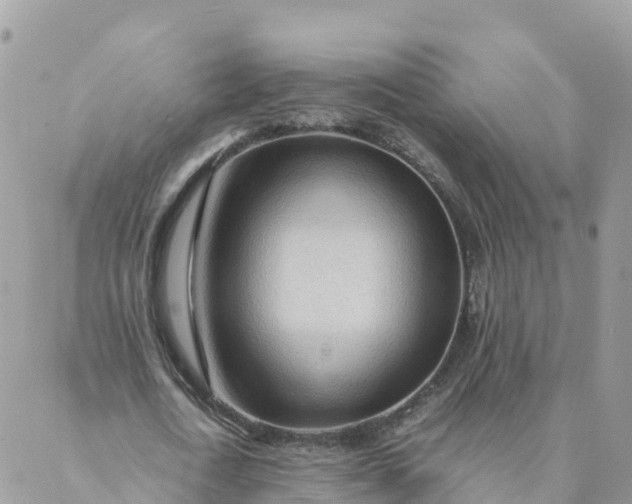 X0000087310722200705041648