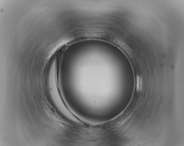 X0000087310723200705041648