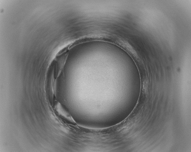 X0000087310724200705041648