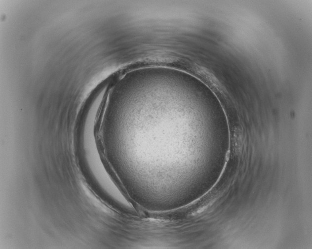 X0000087310726200705041648