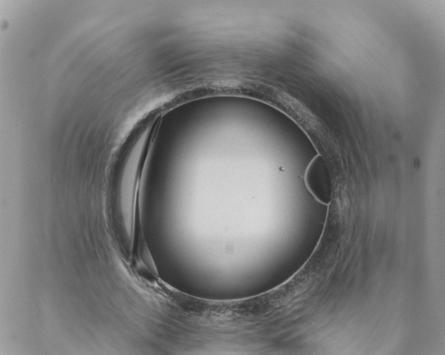 X0000087310728200705041649