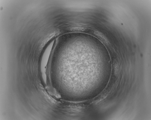 X0000087310729200705041649