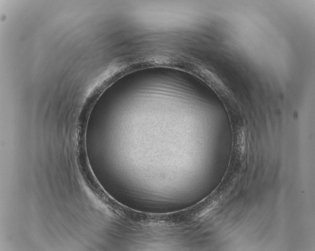 X0000087310730200705041649